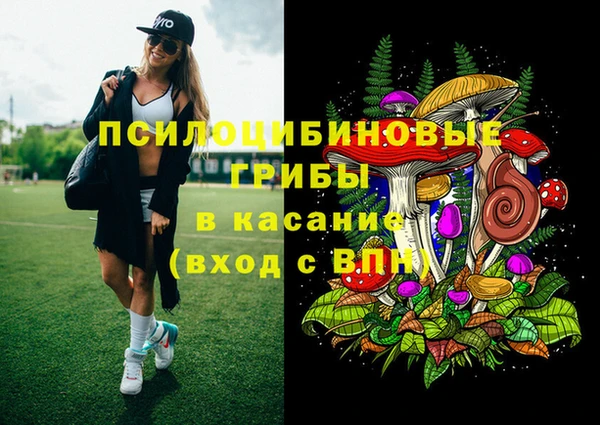 герыч Вяземский
